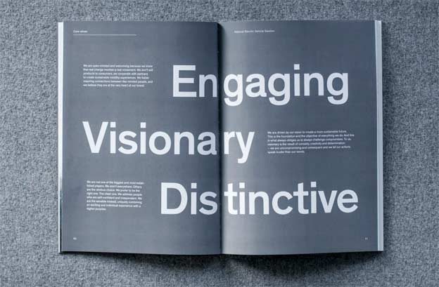 NEVS annual report design