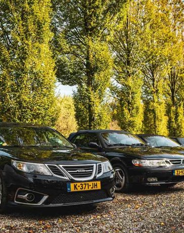 A stunning lineup of Saabs at the 65th anniversary of Saab Club Nederland, showcasing the brand's rich legacy and passionate community