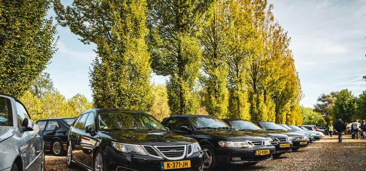 A stunning lineup of Saabs at the 65th anniversary of Saab Club Nederland, showcasing the brand's rich legacy and passionate community