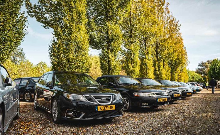 A stunning lineup of Saabs at the 65th anniversary of Saab Club Nederland, showcasing the brand's rich legacy and passionate community