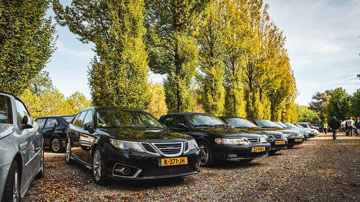 A stunning lineup of Saabs at the 65th anniversary of Saab Club Nederland, showcasing the brand's rich legacy and passionate community