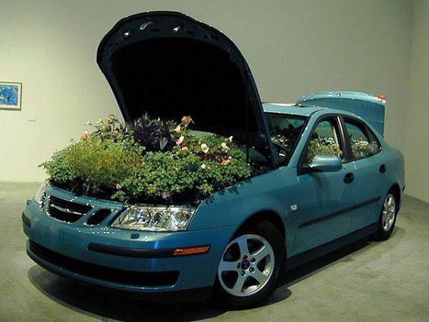 Saab Flowerbeds