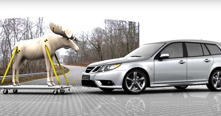 Saab vs Moose Test