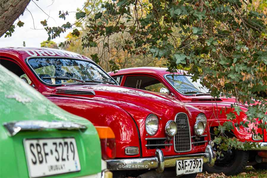 Although in Uruguay the owners and members of the club own mostly older models of Saab cars, their owners have made sure that they look like new