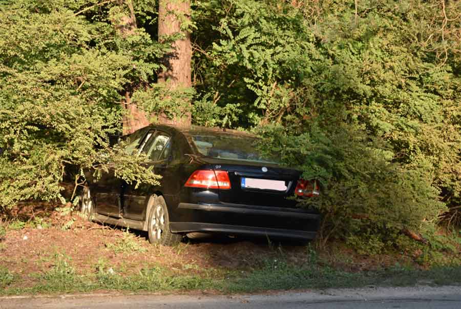 Saab crashed in tree