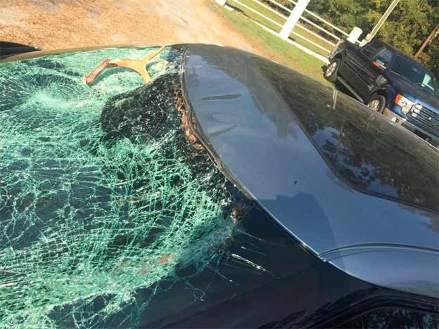 saab 9-5 interior after crash with deer