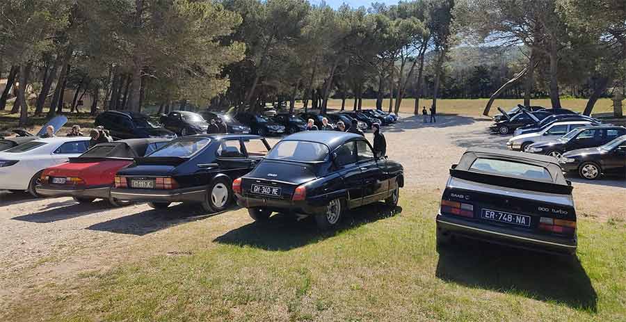 Classic and modern Saabs lined up under the trees at Saab'oit un café in Provence, showcasing the enduring appeal of Swedish automotive design