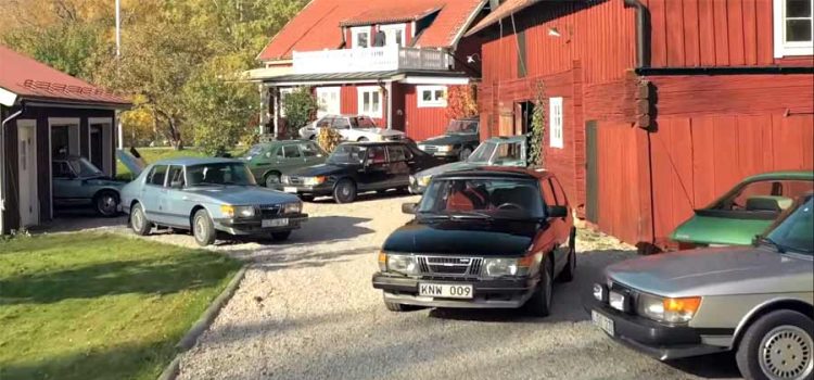 yard full of Saabs